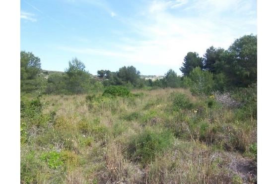 Wohngrundstück in Moraira(Alcazar) zu verkaufen, Klimaanlage, Terreno 20000 m², Pool, ref.: BI-MT.G-184-3