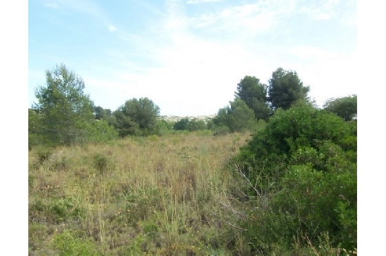 Wohngrundstück in Moraira(Alcazar) zu verkaufen, Klimaanlage, Terreno 20000 m², Pool, ref.: BI-MT.G-184-4