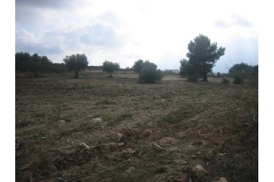 Finca in Benissa(Partida Canor) zu verkaufen, Zona de estar 60 m², Klimaanlage, Terreno 17000 m², Pool, ref.: BI-BE.F-163-4
