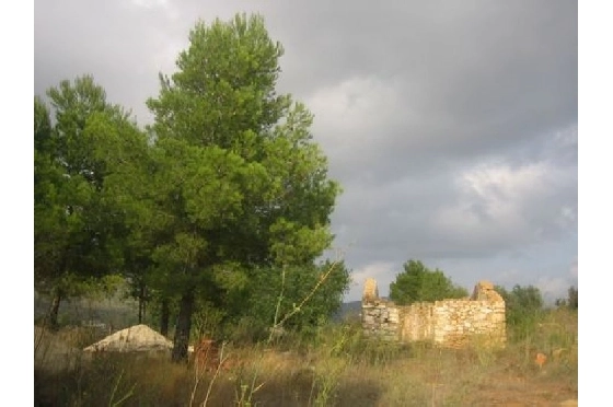Finca in Benissa(Partida Canor) zu verkaufen, Zona de estar 60 m², Klimaanlage, Terreno 17000 m², Pool, ref.: BI-BE.F-163-8