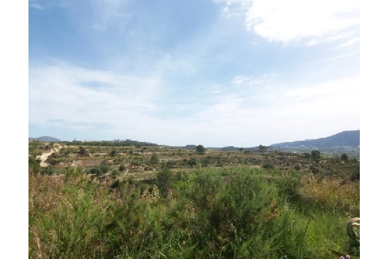 Wohngrundstück in Teulada(Partida Churra) zu verkaufen, Klimaanlage, Terreno 14000 m², Pool, ref.: BI-MT.G-183-4