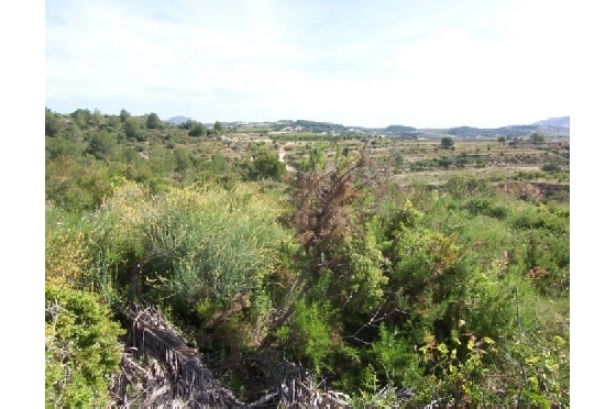 Wohngrundstück in Teulada(Partida Churra) zu verkaufen, Klimaanlage, Terreno 14000 m², Pool, ref.: BI-MT.G-183-8