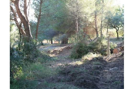 Wohngrundstück in Benitachell(Campo) zu verkaufen, Klimaanlage, Terreno 10723 m², Pool, ref.: BI-BX.G-011-4