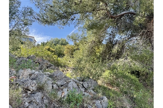 Wohngrundstück in Pego(Monte Pego) zu verkaufen, Terreno 1603 m², ref.: SC-D0821-5