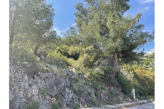 Wohngrundstück in Pego(Monte Pego) zu verkaufen, Terreno 1603 m², ref.: SC-D0821-6