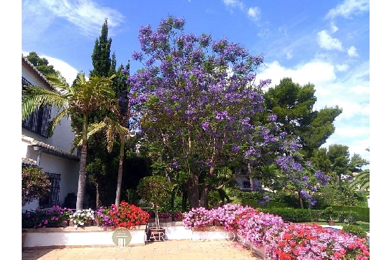 Villa in Javea zu verkaufen, Zona de estar 500 m², + Zentralheizung, Klimaanlage, Terreno 3000 m², 6 Schlafzimmer, 5 Badezimmer, Pool, ref.: MV-2471-15