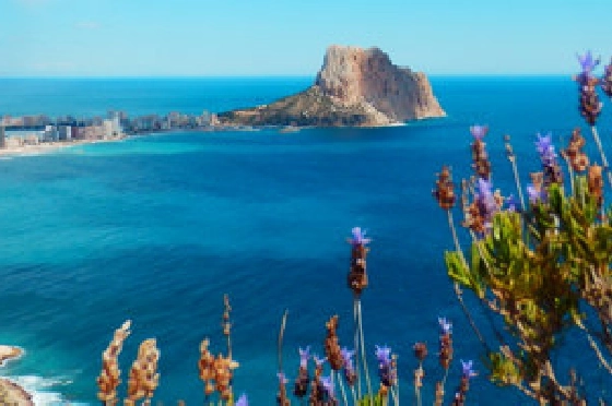 Wohngrundstück in Calpe zu verkaufen, Zona de estar 17211 m², ref.: BS-4183355-5