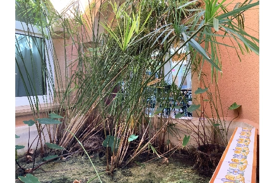 Villa in Javea zu verkaufen, Zona de estar 604 m², Klimaanlage, 4 Schlafzimmer, 6 Badezimmer, Pool, ref.: BS-4354121-11