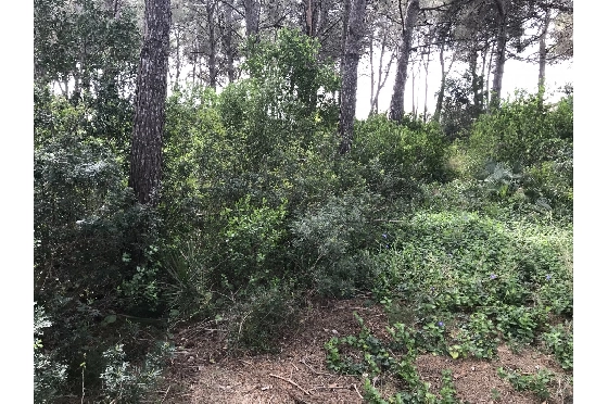 Wohngrundstück in Javea zu verkaufen, Zona de estar 3514 m², ref.: BS-5275788-5