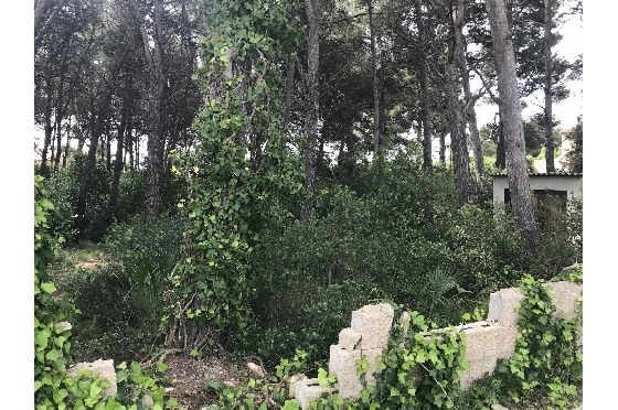 Wohngrundstück in Javea zu verkaufen, Zona de estar 3514 m², ref.: BS-5275788-6