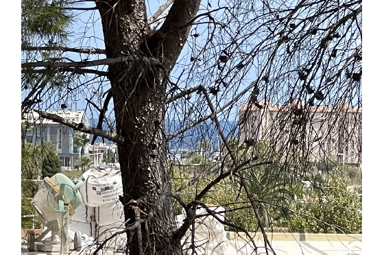 Wohngrundstück in Javea zu verkaufen, Zona de estar 1642 m², ref.: BS-5923950-1