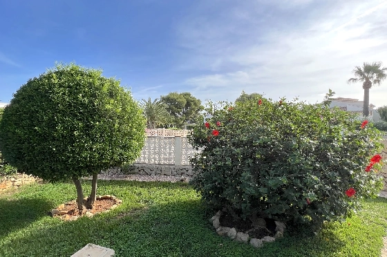 Villa in Javea zu verkaufen, Zona de estar 180 m², Baujahr 1991, Zustand gepflegt, + Zentralheizung, Klimaanlage, Terreno 1013 m², 3 Schlafzimmer, 2 Badezimmer, Pool, ref.: AS-4222-29