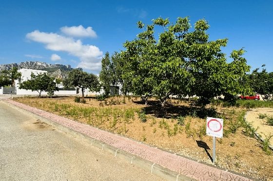 Wohngrundstück in Els Poblets zu verkaufen, Terreno 990 m², ref.: AS-0723-9