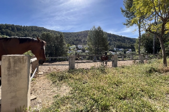 Finca in Orba zu verkaufen, Zona de estar 300 m², Baujahr 2000, + Ofen, Terreno 17241 m², 4 Schlafzimmer, 2 Badezimmer, Pool, ref.: SB-2423-34