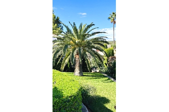 Villa in Denia(Marquesa 6) zu verkaufen, Zona de estar 227 m², Baujahr 1995, Zustand modernisiert, + Zentralheizung, Klimaanlage, Terreno 913 m², 3 Schlafzimmer, 2 Badezimmer, Pool, ref.: AS-2423-63