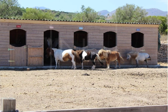Wohngrundstück in Benissa zu verkaufen, Terreno 11141 m², ref.: NL-NLD1495-2