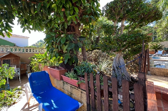 Villa in Denia zu vermieten, Zona de estar 200 m², Zustand gepflegt, + Zentralheizung, Klimaanlage, Terreno 900 m², 3 Schlafzimmer, 2 Badezimmer, Pool, ref.: D-0123-30