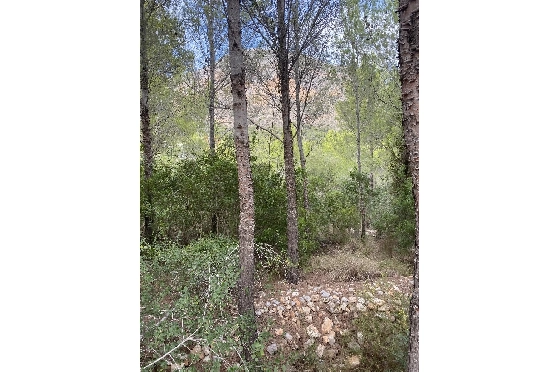Wohngrundstück in Javea zu verkaufen, Zona de estar 1542 m², ref.: BS-83474967-3