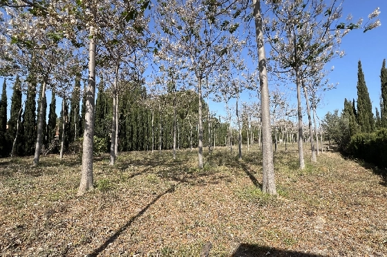 Finca in Pedreguer zu verkaufen, Zona de estar 400 m², + KLIMA, Terreno 12000 m², 2 Schlafzimmer, 2 Badezimmer, ref.: JS-0624-12