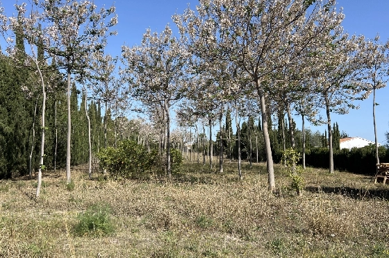 Finca in Pedreguer zu verkaufen, Zona de estar 400 m², + KLIMA, Terreno 12000 m², 2 Schlafzimmer, 2 Badezimmer, ref.: JS-0624-14