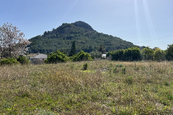 Finca in Pedreguer zu verkaufen, Zona de estar 400 m², + KLIMA, Terreno 12000 m², 2 Schlafzimmer, 2 Badezimmer, ref.: JS-0624-15