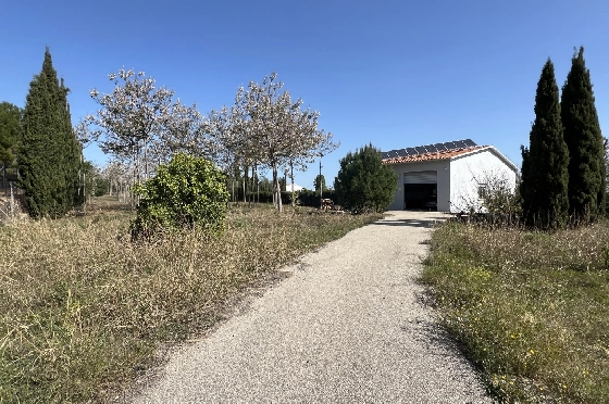 Finca in Pedreguer zu verkaufen, Zona de estar 400 m², + KLIMA, Terreno 12000 m², 2 Schlafzimmer, 2 Badezimmer, ref.: JS-0624-19