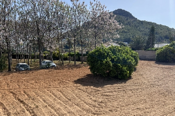 Finca in Pedreguer zu verkaufen, Zona de estar 400 m², + KLIMA, Terreno 12000 m², 2 Schlafzimmer, 2 Badezimmer, ref.: JS-0624-36