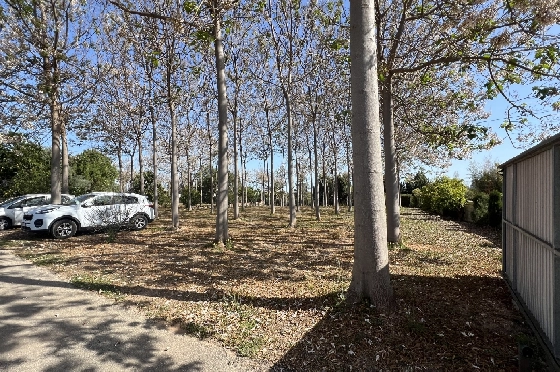 Finca in Pedreguer zu verkaufen, Zona de estar 400 m², + KLIMA, Terreno 12000 m², 2 Schlafzimmer, 2 Badezimmer, ref.: JS-0624-38