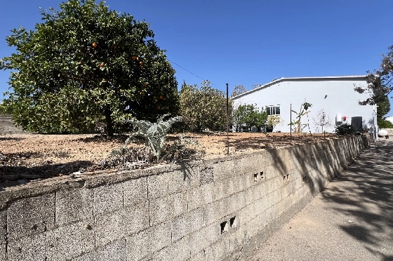 Finca in Pedreguer zu verkaufen, Zona de estar 400 m², + KLIMA, Terreno 12000 m², 2 Schlafzimmer, 2 Badezimmer, ref.: JS-0624-9