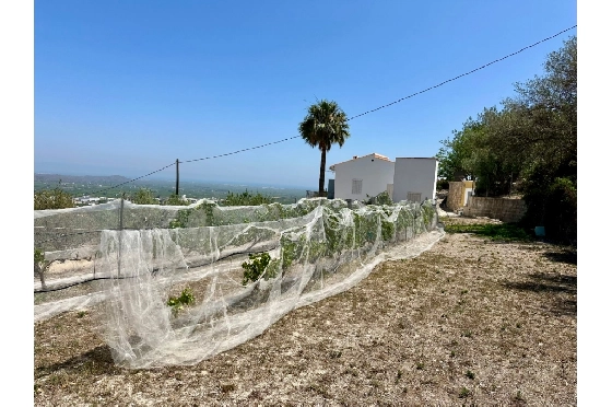Finca in Pego zu verkaufen, Zona de estar 83 m², Baujahr 1947, Klimaanlage, Terreno 7080 m², 2 Schlafzimmer, 1 Badezimmer, Pool, ref.: O-V91914-11