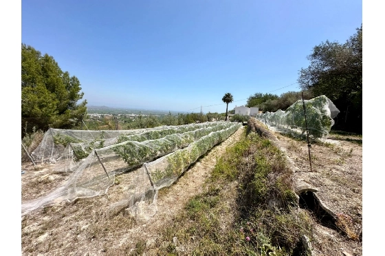 Finca in Pego zu verkaufen, Zona de estar 83 m², Baujahr 1947, Klimaanlage, Terreno 7080 m², 2 Schlafzimmer, 1 Badezimmer, Pool, ref.: O-V91914-12