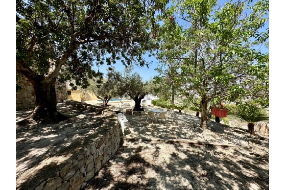 Finca in Pego zu verkaufen, Zona de estar 83 m², Baujahr 1947, Klimaanlage, Terreno 7080 m², 2 Schlafzimmer, 1 Badezimmer, Pool, ref.: O-V91914-6