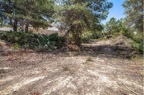 Wohngrundstück in Moraira zu verkaufen, Klimaanlage, Terreno 850 m², Pool, ref.: AM-10961DA-2