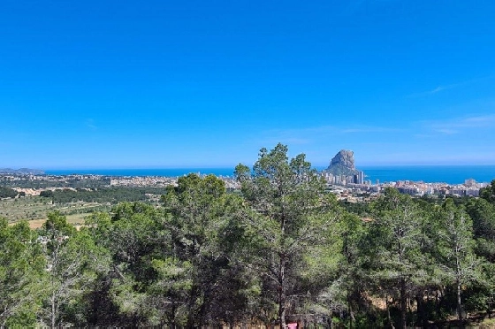 Wohngrundstück in Calpe zu verkaufen, Klimaanlage, Terreno 5150 m², Pool, ref.: AM-11749NS-2