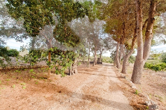 Finca in Gata de Gorgos zu verkaufen, Zona de estar 450 m², Baujahr 1900, + Ofen, Klimaanlage, Terreno 20000 m², 4 Schlafzimmer, 2 Badezimmer, Pool, ref.: AM-11846DA-14
