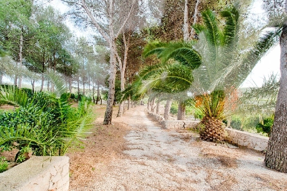 Finca in Gata de Gorgos zu verkaufen, Zona de estar 450 m², Baujahr 1900, + Ofen, Klimaanlage, Terreno 20000 m², 4 Schlafzimmer, 2 Badezimmer, Pool, ref.: AM-11846DA-22