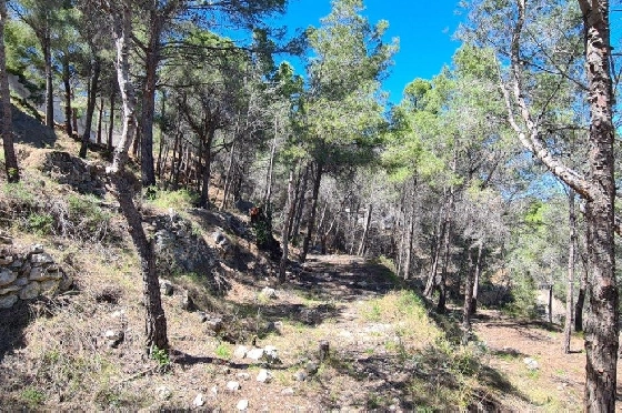 Wohngrundstück in Calpe zu verkaufen, Klimaanlage, Terreno 2500 m², Pool, ref.: AM-11750NS-4