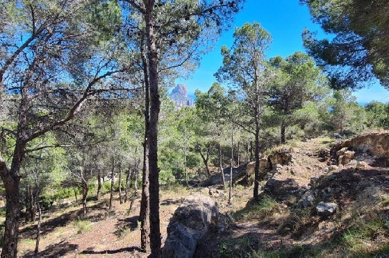 Wohngrundstück in Calpe zu verkaufen, Klimaanlage, Terreno 2500 m², Pool, ref.: AM-11750NS-5