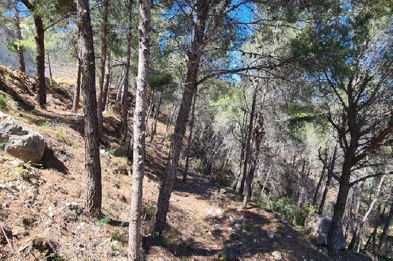 Wohngrundstück in Calpe zu verkaufen, Klimaanlage, Terreno 2500 m², Pool, ref.: AM-11750NS-6