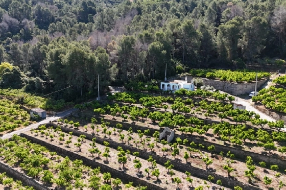 Finca in Pego zu verkaufen, Zona de estar 45 m², Baujahr 1985, + Ofen, Klimaanlage, Terreno 4600 m², 2 Schlafzimmer, 1 Badezimmer, Pool, ref.: O-V94614-4