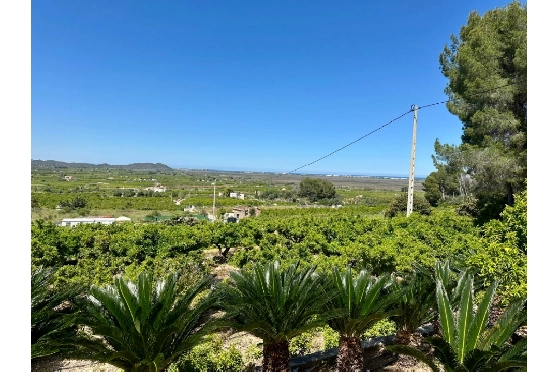 Finca in Pego zu verkaufen, Zona de estar 45 m², Baujahr 1985, + Ofen, Klimaanlage, Terreno 4600 m², 2 Schlafzimmer, 1 Badezimmer, Pool, ref.: O-V94614-7