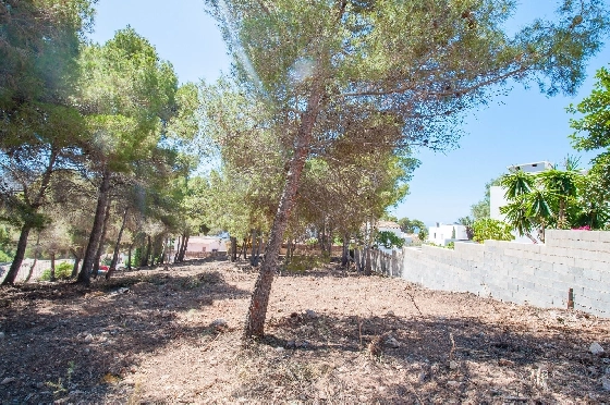 Wohngrundstück in Moraira zu verkaufen, Klimaanlage, Terreno 2177 m², Pool, ref.: AM-12200DA-10