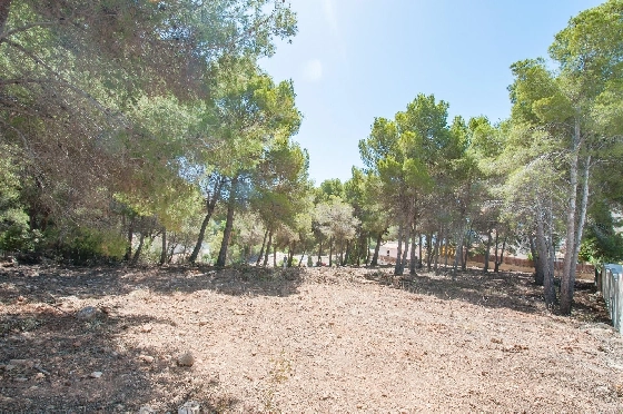 Wohngrundstück in Moraira zu verkaufen, Klimaanlage, Terreno 2177 m², Pool, ref.: AM-12200DA-11