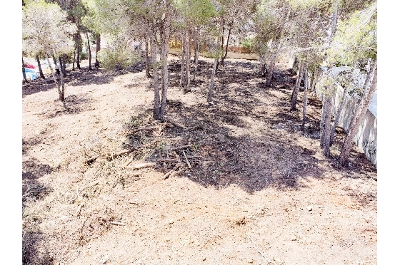 Wohngrundstück in Moraira zu verkaufen, Klimaanlage, Terreno 2177 m², Pool, ref.: AM-12200DA-12