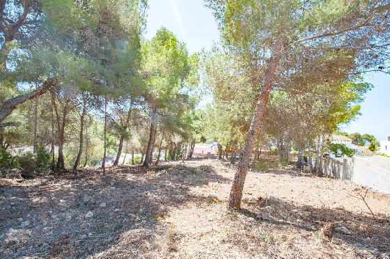 Wohngrundstück in Moraira zu verkaufen, Klimaanlage, Terreno 2177 m², Pool, ref.: AM-12200DA-13
