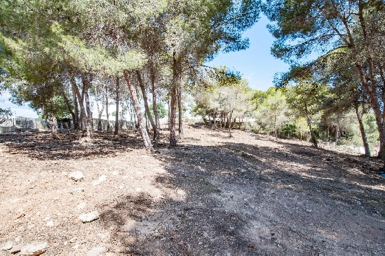 Wohngrundstück in Moraira zu verkaufen, Klimaanlage, Terreno 2177 m², Pool, ref.: AM-12200DA-14
