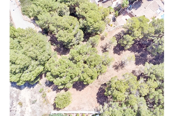 Wohngrundstück in Moraira zu verkaufen, Klimaanlage, Terreno 2177 m², Pool, ref.: AM-12200DA-3