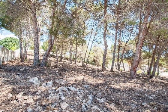 Wohngrundstück in Moraira zu verkaufen, Klimaanlage, Terreno 2177 m², Pool, ref.: AM-12200DA-5