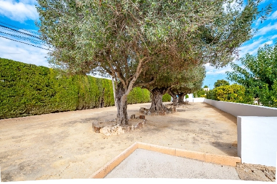 Finca in Benissa zu verkaufen, Zona de estar 704 m², Baujahr 2004, Klimaanlage, Terreno 3420 m², 9 Schlafzimmer, 8 Badezimmer, Pool, ref.: AM-12577DR-4