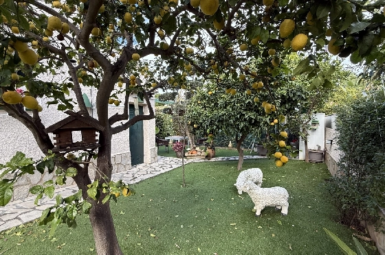 Villa in Els Poblets zu verkaufen, Zona de estar 105 m², Baujahr 1990, + Zentralheizung, Klimaanlage, Terreno 536 m², 2 Schlafzimmer, 2 Badezimmer, Pool, ref.: JS-0326-24